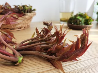 1、炸香椿鱼,吃香椿最好选“头茬”,也就是在初春时香椿第一次萌芽的阶段,这时的香椿芽最为鲜嫩好吃,蛋白质含量最高,而硝酸盐和亚硝酸盐的含量却是最低。