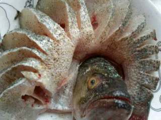 5、自创【清蒸开屏鲈鱼】,加适量花椒粉，糖和盐。