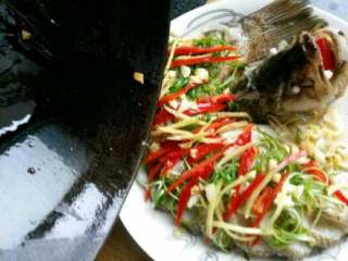 12、自创【清蒸开屏鲈鱼】,鱼蒸好了拿出来，把红辣椒和葱摆好，在浇上烧好的热油。