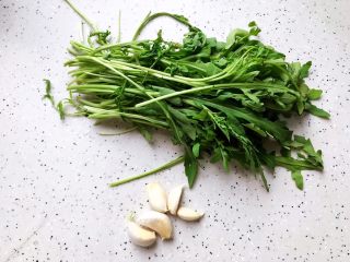2、蒜蓉茄子芝麻菜,准备好芝麻菜和大蒜