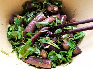 20、蒜蓉茄子芝麻菜,搅拌均匀，即可