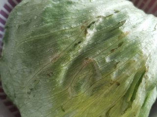 1、耗油西生菜,西生菜一个