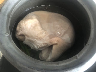 10、凉拌猪肚丝,猪肚放入砂锅，注入适量清水。