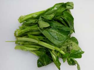 14、卡通大白饭团便当盒,菜心洗净