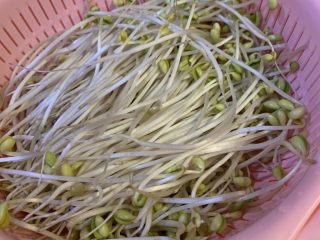 2、腊肠炒豆芽,豆芽洗干净沥干