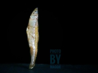 2、香辣下饭菜~客家小炒鱼干,来个特写,艺术照????