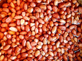 2、爽口小菜～多味笋丝花生,红皮花生米洗净，去除坏的颗粒，泡水十分钟。