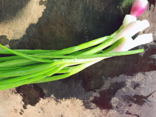 1、清蒸王特鲳鱼,小葱冲洗干净。