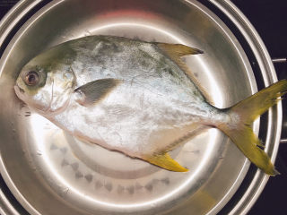 4、清蒸王特鲳鱼,蒸锅中水烧开后放入王特鲳鱼。