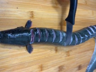 2、老干妈蒸鳗鱼,杀好改刀