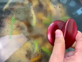 8、可乐鸡翅,煮开盖盖炖十五到二十分钟