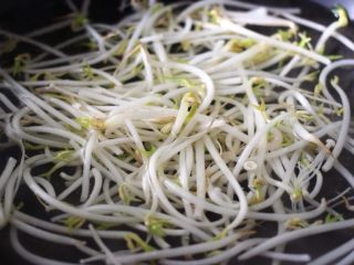2、海虾什锦凉拌菜,锅中倒入适量清水煮沸后、加入一勺盐后放入绿豆芽进行焯水后捞出沥干水分备用