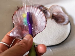 6、蒜蓉粉丝蒸扇贝,扇贝壳也要刷洗干净。