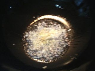 3、红烧鲍鱼,热锅放油，油八分热后，放入葱姜蒜末爆香