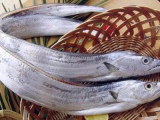 1、糖醋带鱼,选择新鲜的带鱼。