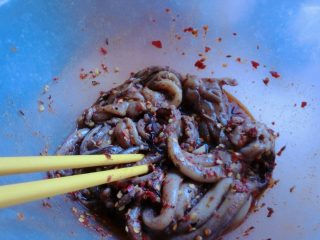 9、洛氏新煮义--烧烤黑椒猪肉VS烧烤孜然鱿鱼,这是腌渍了8个小时的样子，其实我是早上腌渍准备中午做的，结果，中午吃太饱，所以。。。下午才做的