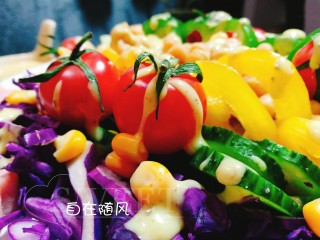 15、糖尿病菜谱～鹰嘴豆蔬菜沙拉,淋一些沙拉酱在蔬菜上