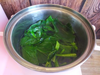 6、凉拌菠菜粉丝,菠菜烫软