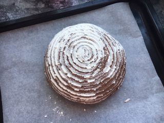 6、蔓越莓黑麦藤篮法式欧包,倒扣在烤盘中。