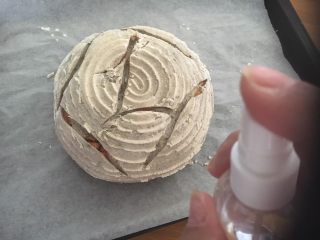 8、蔓越莓黑麦藤篮法式欧包,表面喷水雾。