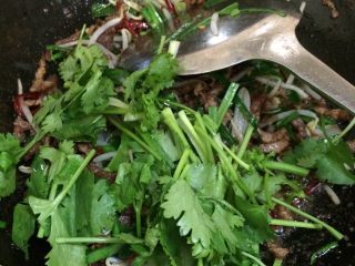 17、豆芽爆炒小肉丝,放入香菜翻炒，加入盐翻炒均匀关火即可出锅