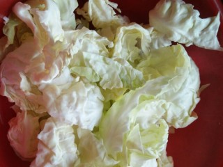 2、手撕包菜,包菜用手掰成一片片，清洗干净