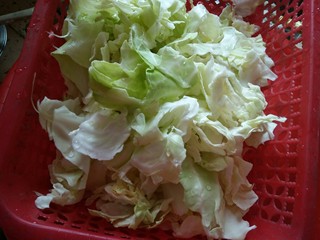 3、手撕包菜,再用手掰成小块