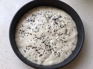 10、发糕,撒上芝麻，再发半小时。