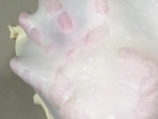 7、葱香芝士香肠面包,扯出一块面团，慢慢伸展开，能拉出薄而不易破的薄膜即可。