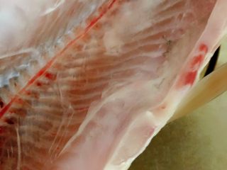 2、酸菜鱼,把肚子里的黑膜洗净，一定要把黑膜去了，很腥的