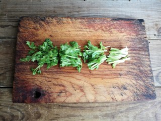 5、柠檬手撕鸡,香菜洗净切寸段。