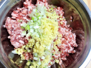 5、萝卜肉丸汤,放入生姜和大葱末。