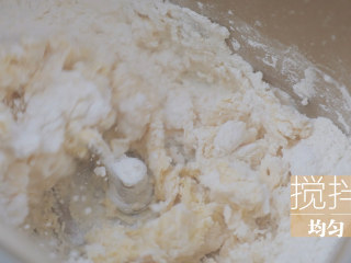 1、小小牛牛堡「厨娘物语」,先来做汉堡胚~面包机倒入100ml牛奶、40g蛋液、250g高筋面粉、45g糖、5g酵母、1g盐启动面包机，搅拌均匀。（酵母和盐糖要分开放哦，酵母是一种真菌，碰到盐糖会失效）