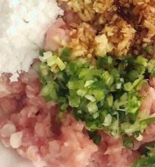 3、油豆腐酿肉,将肉馅、葱花和姜末10g、盐、生抽5g、胡椒粉、白糖2g和玉米淀粉3勺倒入一起