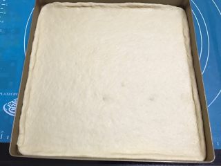 6、肉松奶酪面包卷,擀好连油布一起放入金盘，