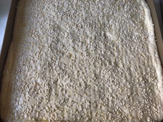 10、肉松奶酪面包卷,发酵完了刷蛋液，撒上白芝麻，喜欢香葱的可以撒点香葱，烤箱预热180度上下火，