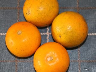 3、鹌鹑蛋水果沙拉,老树冰糖橙，好甜好好吃的