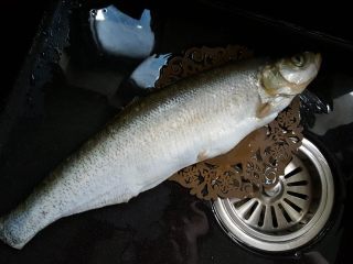 1、清蒸鱼,1．鱼去内脏，收拾干净。鱼最好选取稍微宽一点的，说出来比较好看，我这条鱼有点细长了。