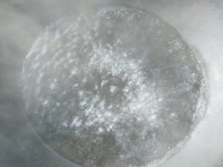 6、凉拌海蜇,锅里水烧开。