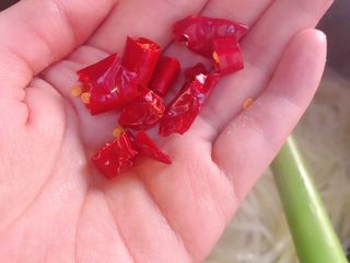 14、醋溜土豆丝,放入干辣椒