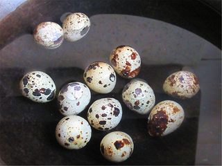 1、趣味吃蛋法,鹌鹑蛋和鸡蛋先在锅中煮熟，鸡蛋已被我放在煮蛋器里煮了