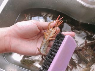 2、十三香小龙虾,用刷子刷一下小龙虾，做个spa