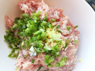 2、年味~树花菜蒸蛋卷,剁好的肉未中加入姜末和葱花