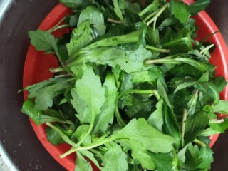 2、凉拌马兰香干,马兰清洗干净后，捞出沥干水份