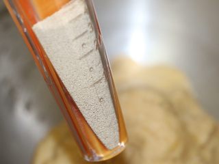 4、紫菜肉松面包,加入酵母