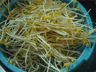 3、川香麻辣鱼,黄豆芽洗干净控干水备用