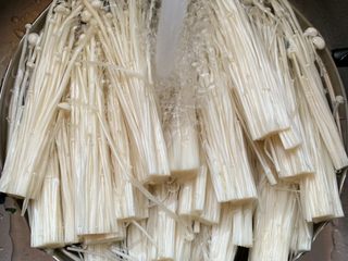 2、酸汤肥牛,去除老根，洗净