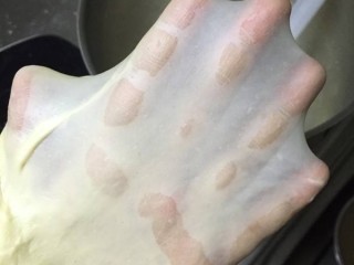 5、海苔肉松面包卷,揉好的面，能拉出膜来即可。