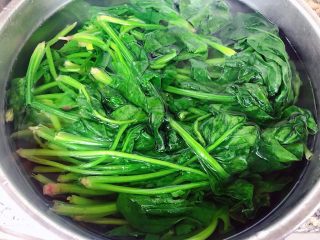 3、蒜蓉菠菜,焯好水的菠菜立即放入冷水中过凉
