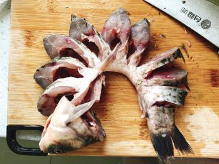 2、油炸糖醋版孔雀开屏鱼-年夜饭、宴请菜类,将鱼身切成宽约3厘米厚度的段，鱼肚不切断。